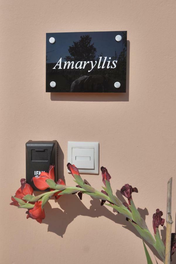 Dimitra - Loft ApartmentsCorfu  エクステリア 写真